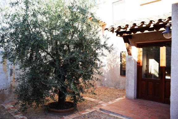 Oliva patio delantero